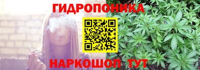 ГАЛЛЮЦИНОГЕННЫЕ ГРИБЫ Свободный